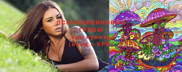 мет Алексин