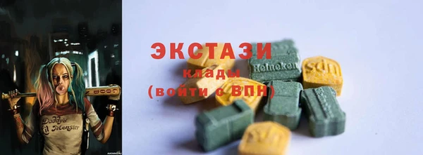 мет Алексин